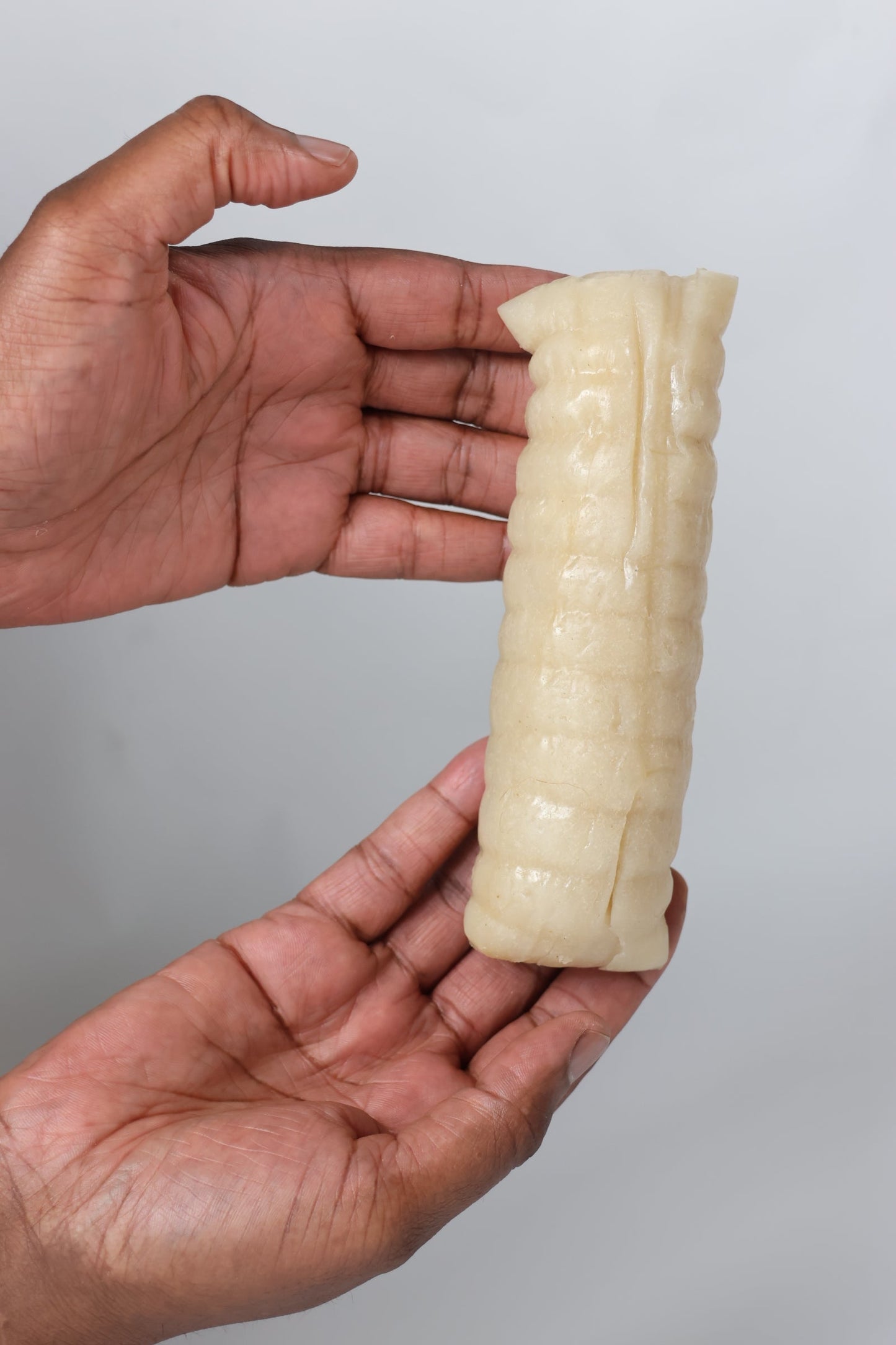 B20 Lot de 20 Maniocs