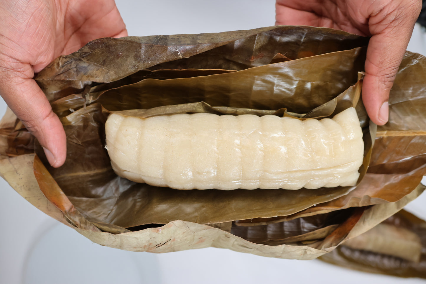 B10 Lot de 10 Maniocs