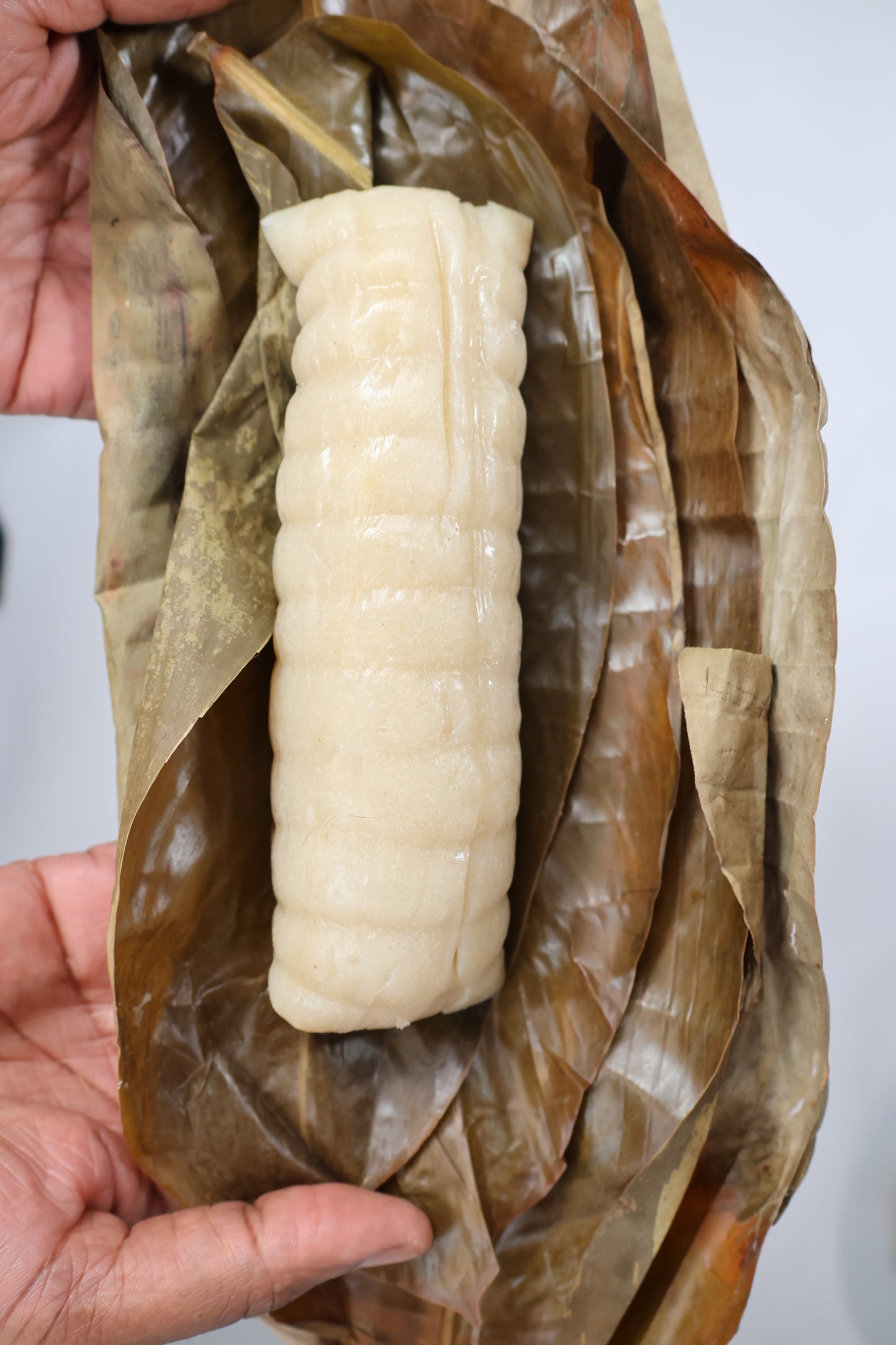 B10 Lot de 10 Maniocs